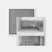 Experiment van Louis Galvani op kikkers Magneet (Voorkant / Achterkant)