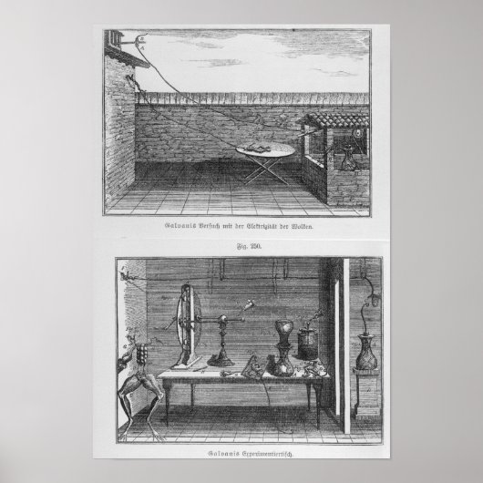 Experiment van Louis Galvani op kikkers Poster (Voorkant)