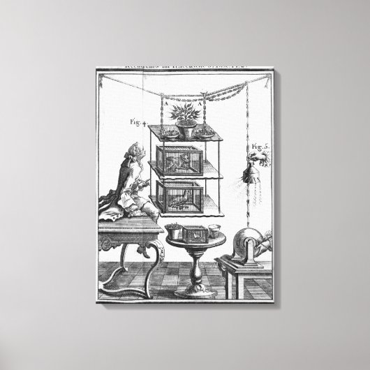 Experimenten met elektriciteit canvas afdruk (Voorkant)