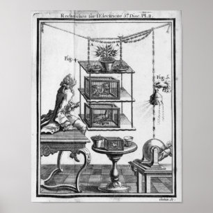 Experimenten met elektriciteit poster