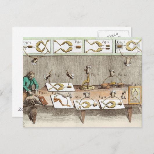 Experimenteren op kikkers briefkaart (Voorkant / Achterkant)