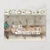 Experimenteren op kikkers briefkaart (Voorkant)