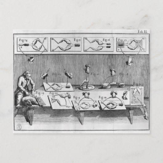 Experimenteren op kikkers briefkaart (Voorkant)