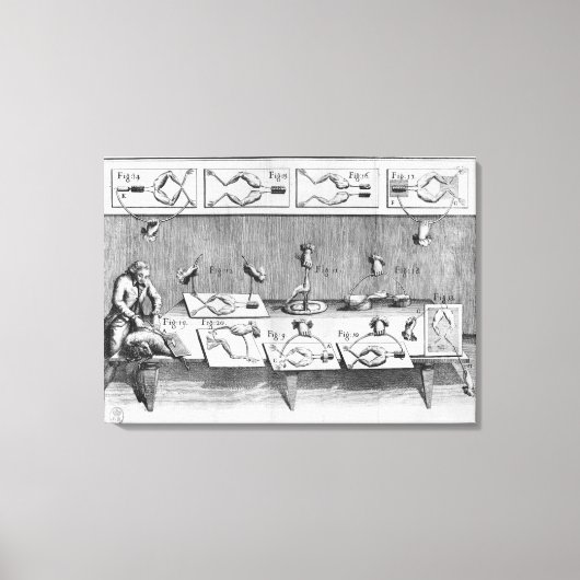 Experimenteren op kikkers canvas afdruk (Voorkant)