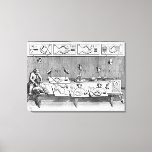 Experimenteren op kikkers canvas afdruk