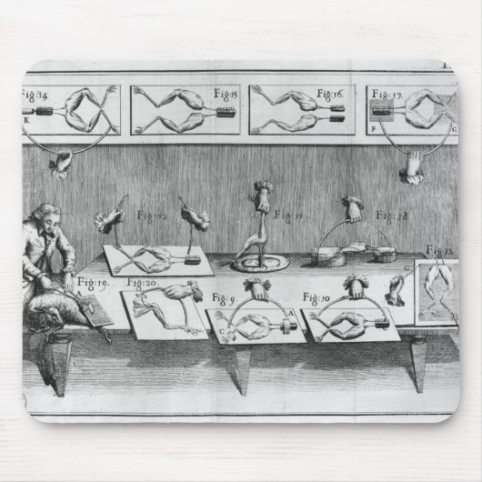 Experimenteren op kikkers muismat (Voorkant)