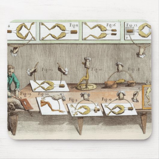 Experimenteren op kikkers muismat (Voorkant)