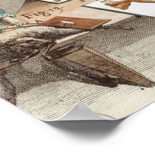 Experimenteren op kikkers poster (Hoek)