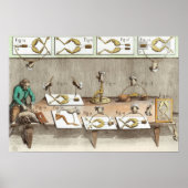 Experimenteren op kikkers poster (Voorkant)