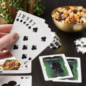 EXPERIMENTEREN POKERKAARTEN (Insitu)
