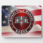 Expert Field Medical Badge (EFMB) Fotoplaat (Voorkant)