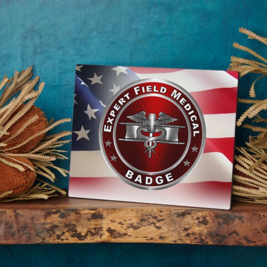 Expert Field Medical Badge (EFMB) Fotoplaat (Zijkant)