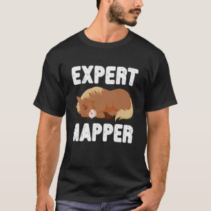 Expertslaper Schattig Slapend Paard Grappige Diere T-shirt