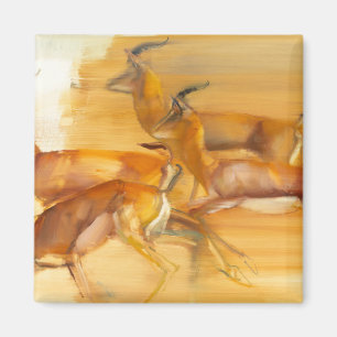 Exploitatie van gazelles 2010 magneet