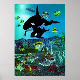 Exploratie 3D Aquarium ORCA Poster