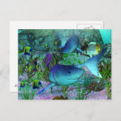 Exploratie 3D-haaien Briefkaart (Voorkant / Achterkant)