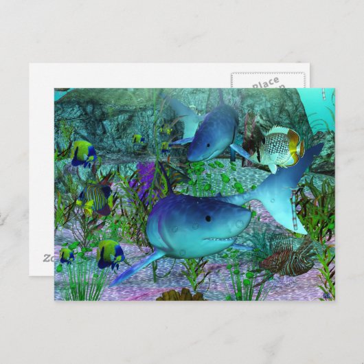 Exploratie 3D-haaien Briefkaart (Voorkant / Achterkant)