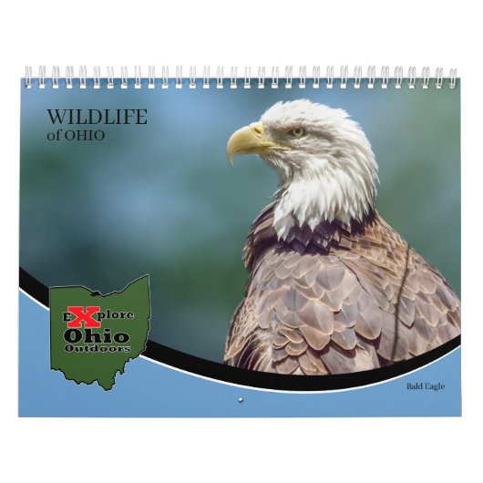 Explore Ohio Outdoors Wildlife of Ohio Calendar Kalender (Hoes)