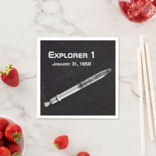 Explorer 1 Satellite Servet (Insitu)