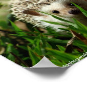 Explorer-poster Poster (Hoek)