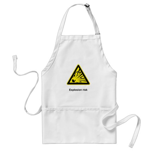 Explosierisico Apron van Chef Standaard Schort (Voorkant)