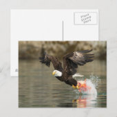 Explosievloeistof Briefkaart (Voorkant / Achterkant)