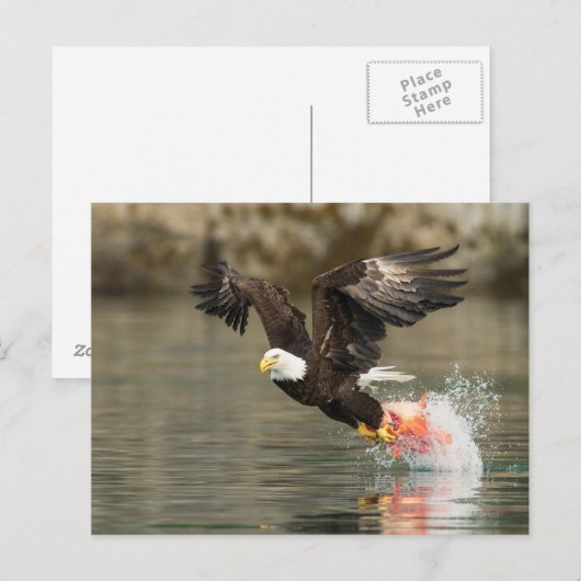 Explosievloeistof Briefkaart (Voorkant / Achterkant)