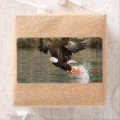 Explosievloeistof Etiket (Insitu)