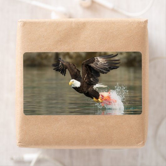 Explosievloeistof Etiket (Insitu)