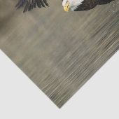 Explosievloeistof Tissuepapier (Detail)