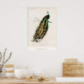 Expositie Kunstprint Charles dOrbigny Indiaas Poster (Keuken)