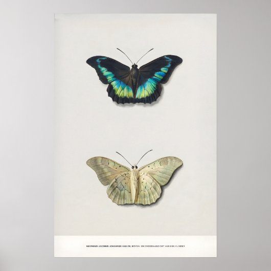 Expositie Kunstprint Georgius van Os Twee Poster (Voorkant)