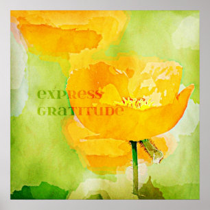 Express Gratitude Oranje Poppy Poster