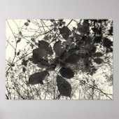 expressie poster (Voorkant)