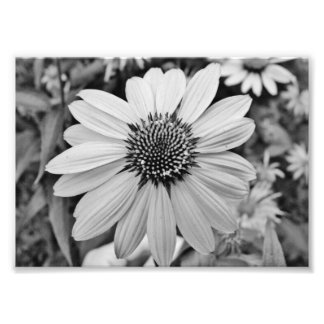 Expressies 5x7 Fotografische afdrukken Foto Afdruk