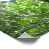 Expressieve boom poster (Hoek)