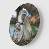 Expressieve Meerkat in Afrika Grote Klok (Hoek)