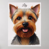 Expressive CloseUp Yorkshire Terrier Dog Portrait Poster (Voorkant)