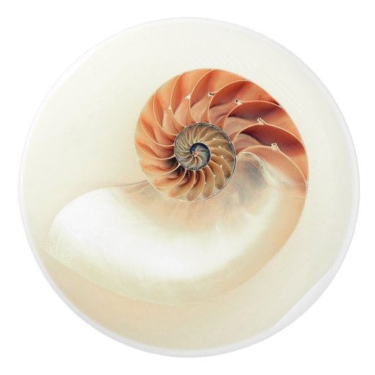 Exquise nautilus shell keramische knop (Voorkant)
