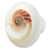 Exquise nautilus shell keramische knop (Rechts)