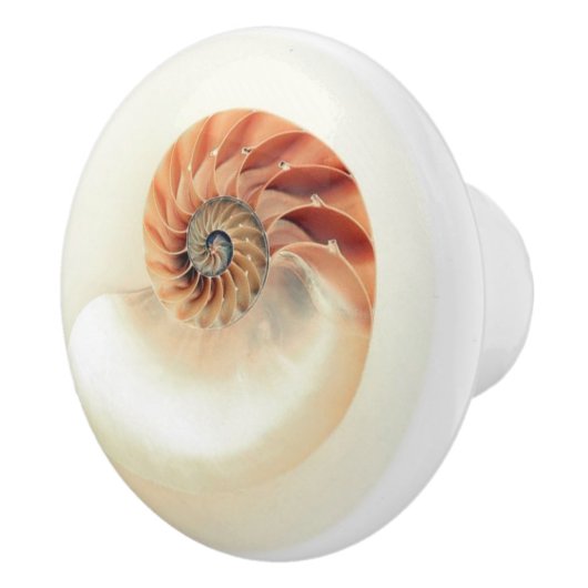Exquise nautilus shell keramische knop (Rechts)