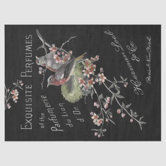 Exquise perfumes Ephemera en ontkoppeling Tissuepapier (Voorkant)