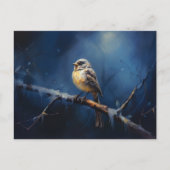 Exquisite Feathers-briefkaart Briefkaart (Voorkant)