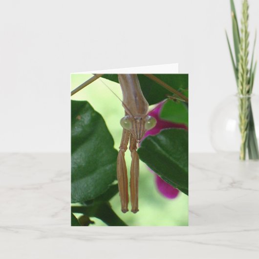 Exterminator Notecard Kaart (Voorkant)