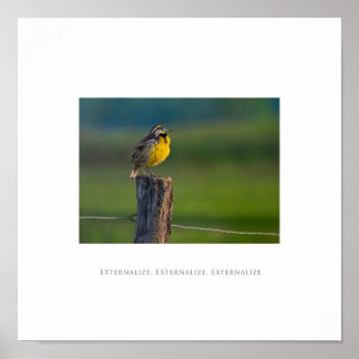 Extern, Extern, Extern, Extern Poster externaliser