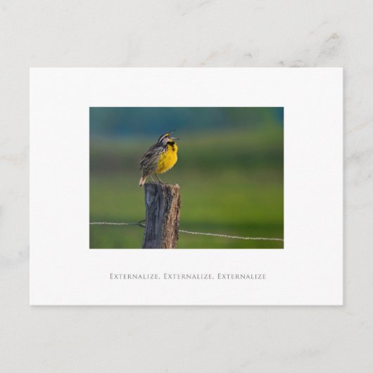 externaliseren, externaliseren, externaliseren, ex briefkaart (Voorkant)