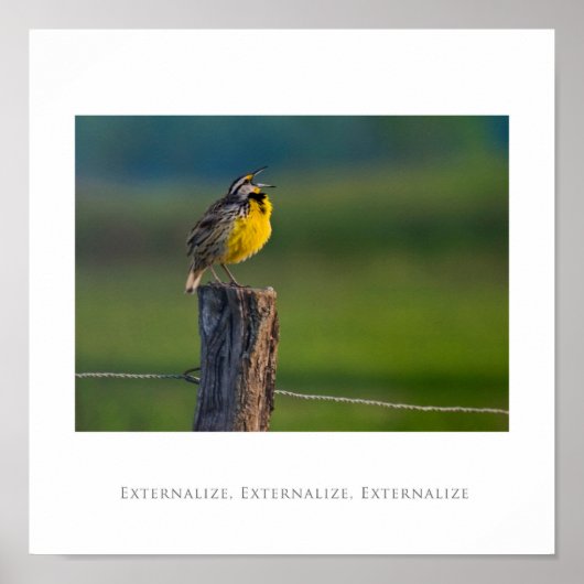 externaliseren, externaliseren, externaliseren poster (Voorkant)