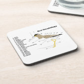 Externe morfologie van een vogel vanellus Malabari Bier Onderzetter (Linkerzijde)