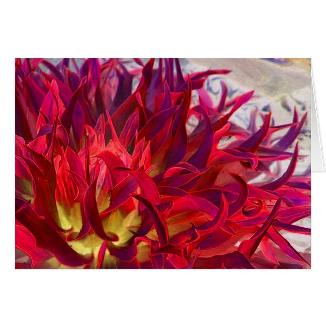 Exterra Dahlia (Voorkant Horizontaal)