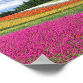 Extra klein (16,50 x 11,00 inch), voordelig Poster (Hoek)